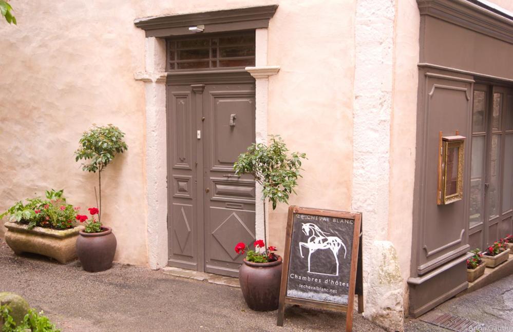 Bed and Breakfast Le Cheval Blanc  Saint-Antonin Exterior foto